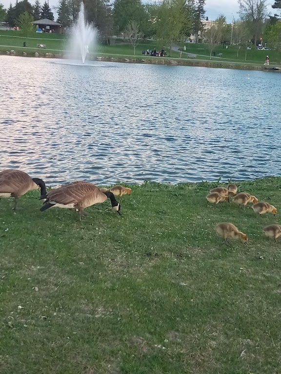 Fachada de Andrew Haydon Park
