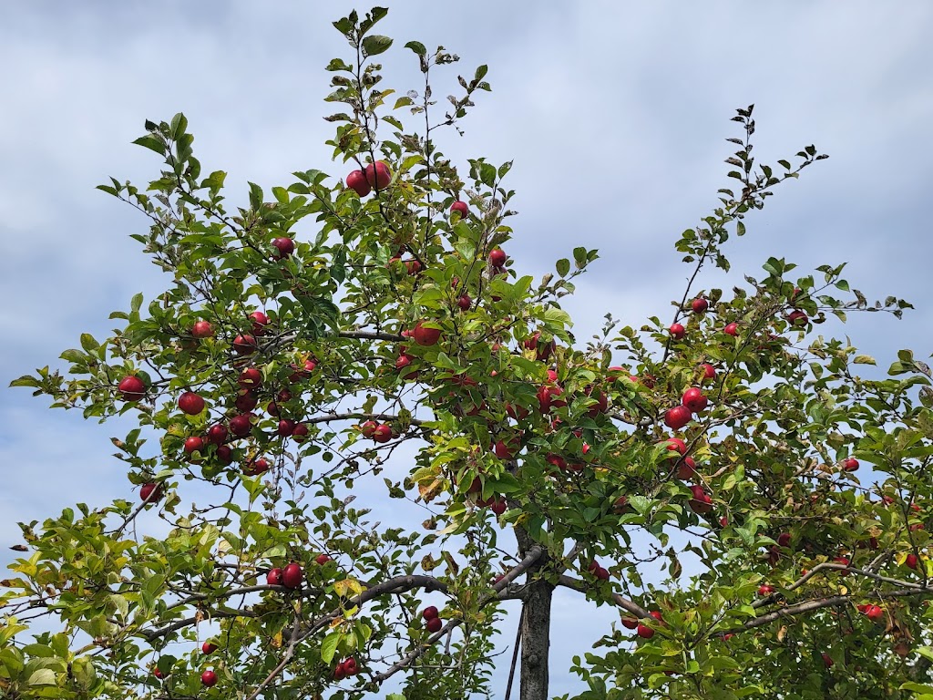 Fachada de Verger Croque-Pomme - Cidery & Orchard