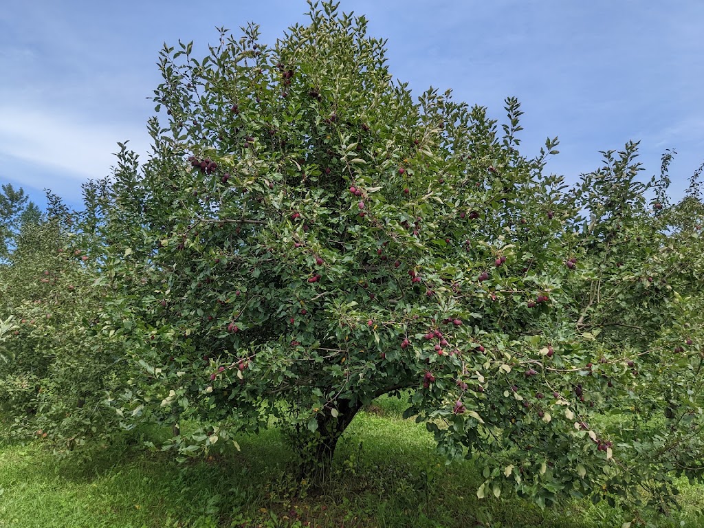 Fachada de Pine Hill Orchard