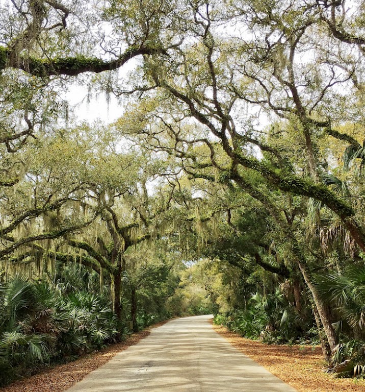 Fachada de Anastasia State Park