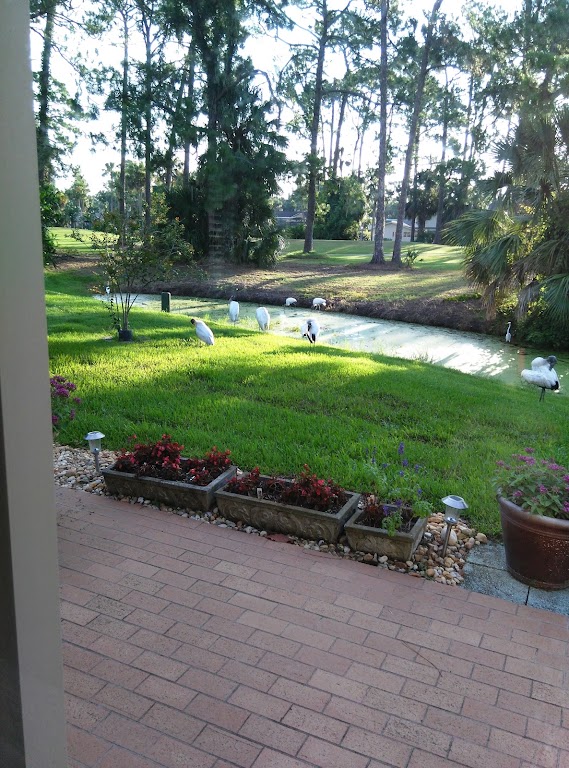 Fachada de Pelican Bay