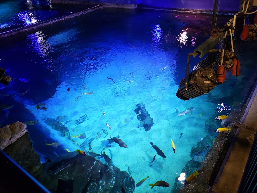 Fachada de SEA LIFE Orlando Aquarium