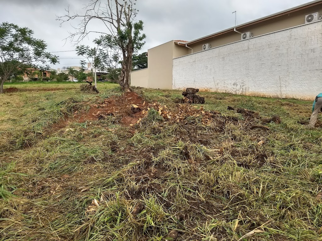 Fachada de Condominio da Paineira