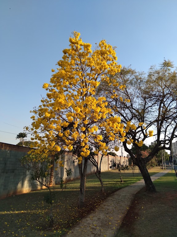 Fachada de Associação dos Moradores do Jardim Monsenhor Rossi- AJaMoR- Centreville