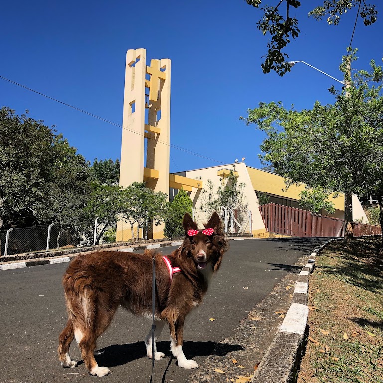 Fachada de Igreja de São José