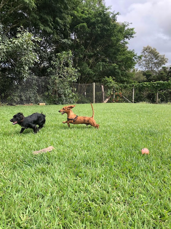 Fachada de Castelo Pet Resort