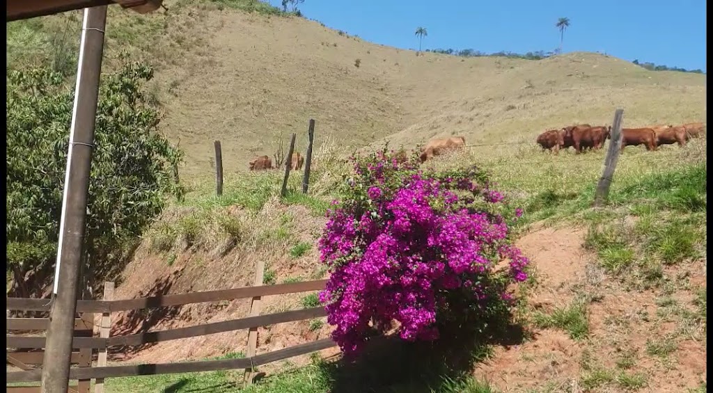 Fachada de Haras Boa Vereda