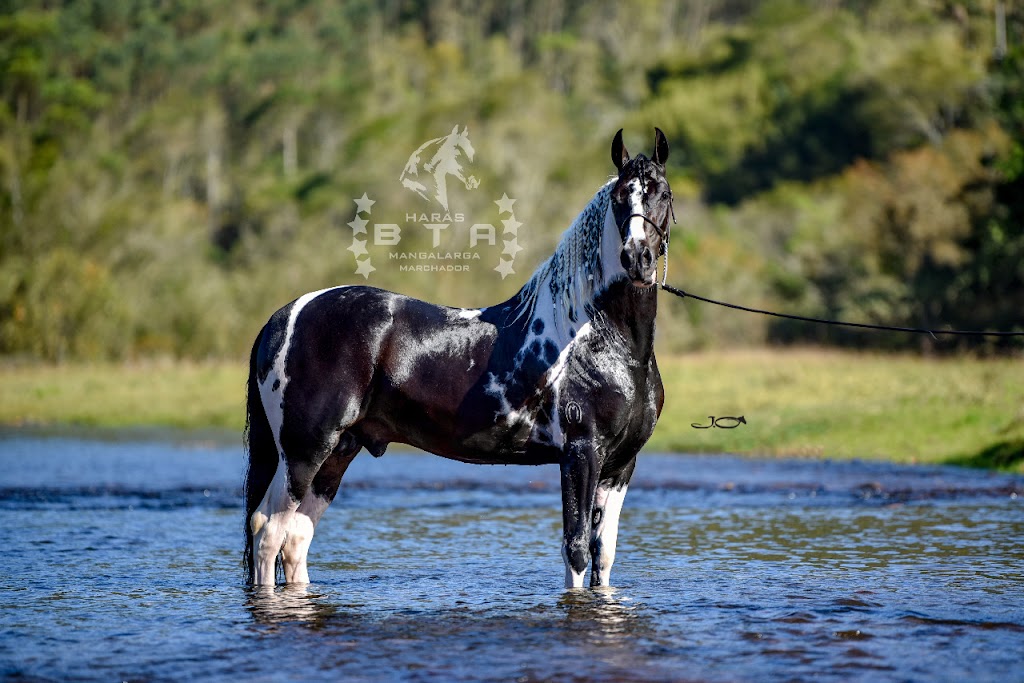 Fachada de Haras BTA
