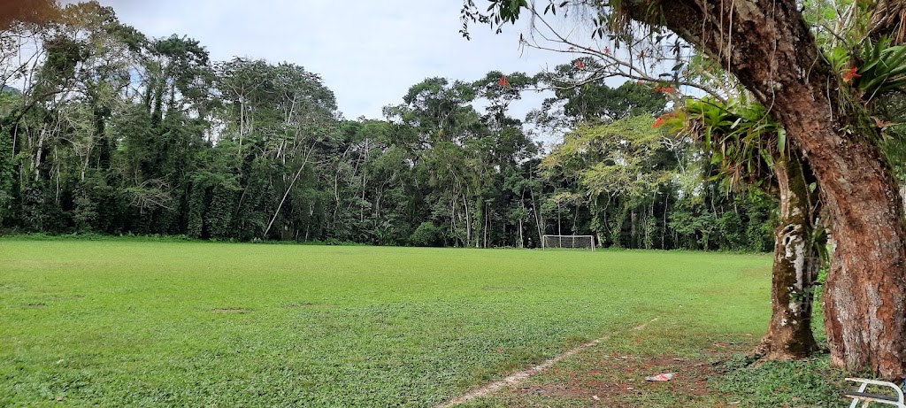 Fachada de Instituto Florestal do Horto