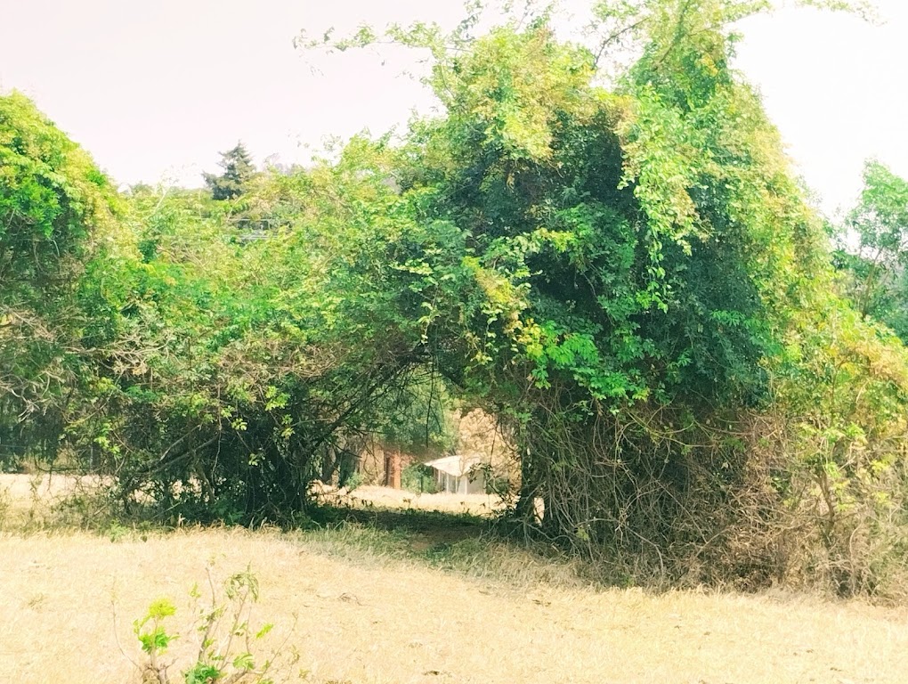 Fachada de Fazenda Ingá-Mirim