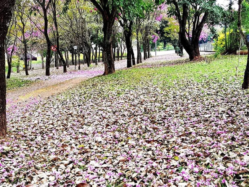 Fachada de Condomínio Zuleika Jabour