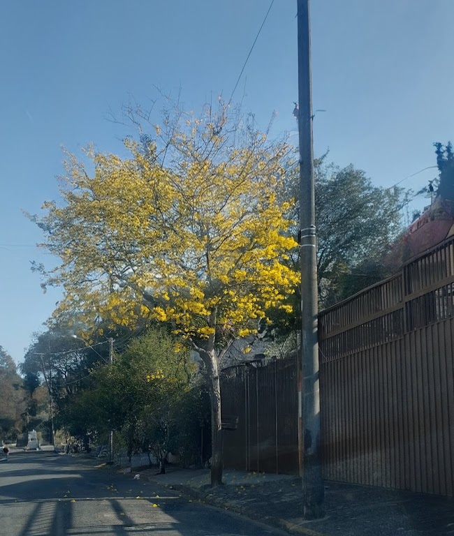 Fachada de Piedade SP