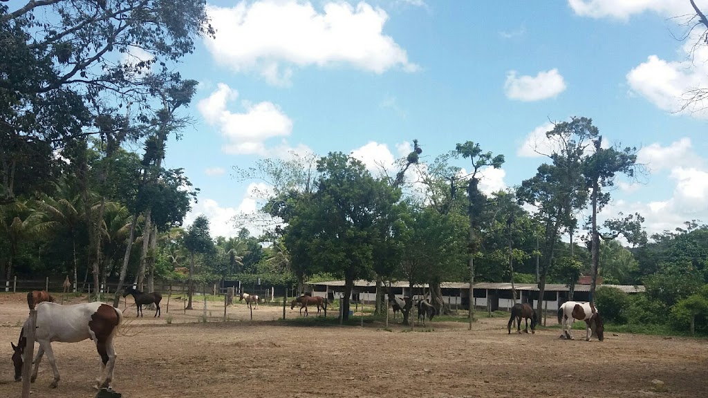 Fachada de Haras São Francisco Peruíbe