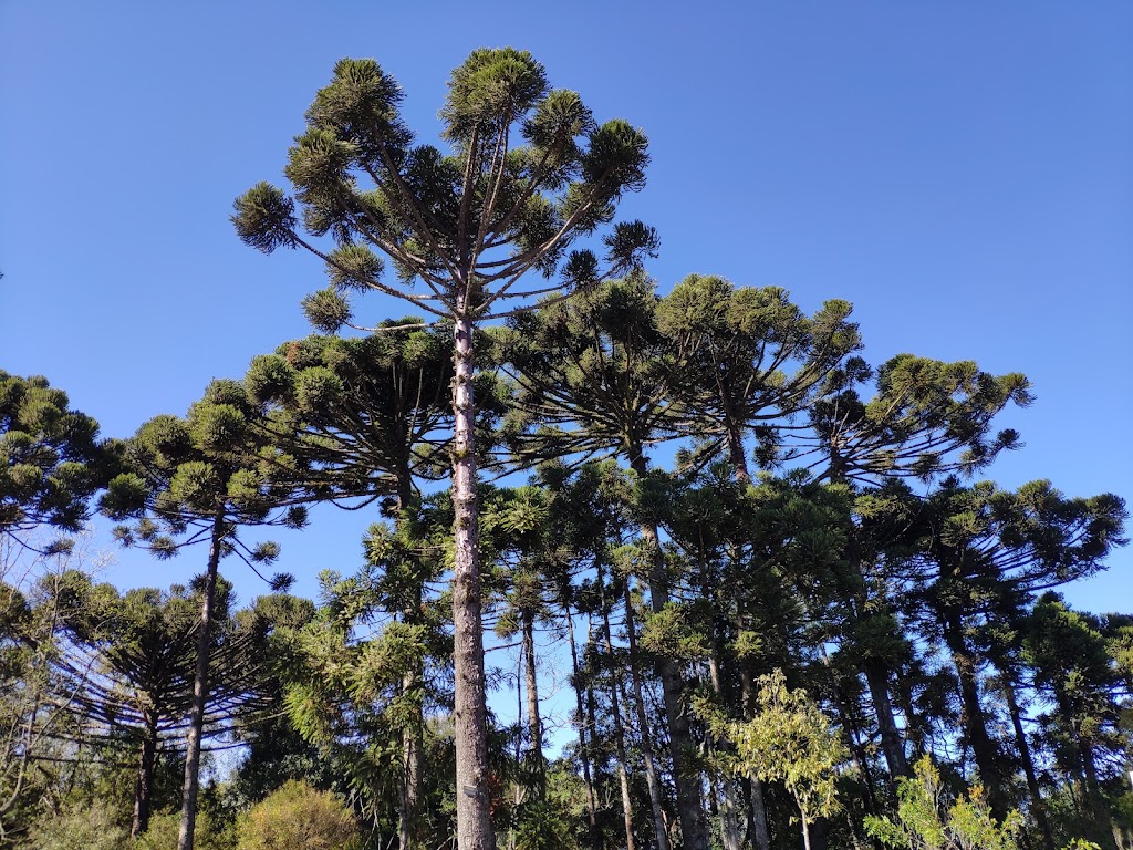 Fachada de Comunidade Vida - Curitiba