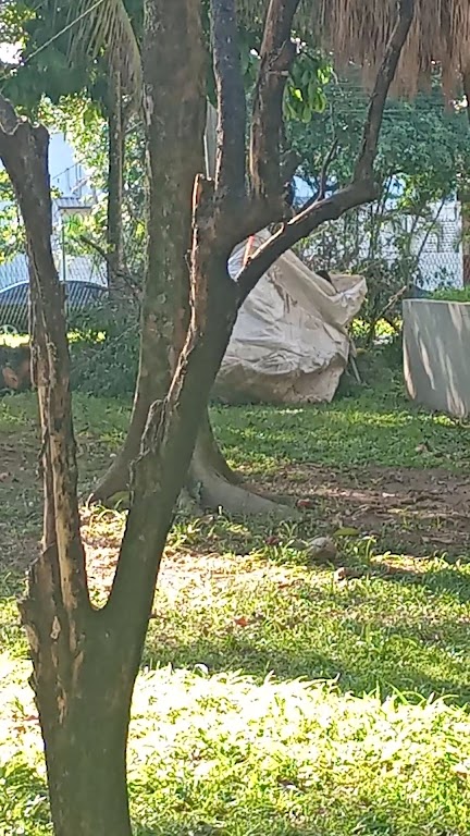 Fachada de Igreja Assembléia de Deus