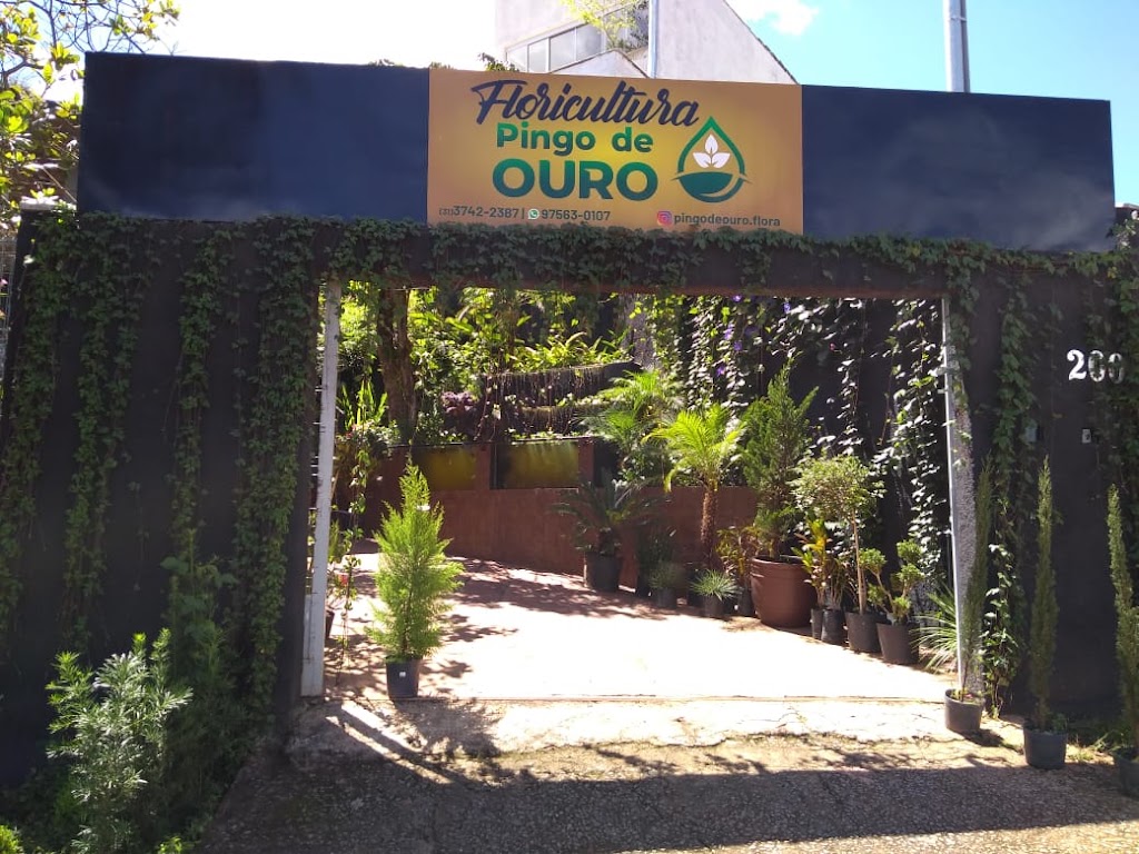 Fachada de Floricultura Pingo de Ouro
