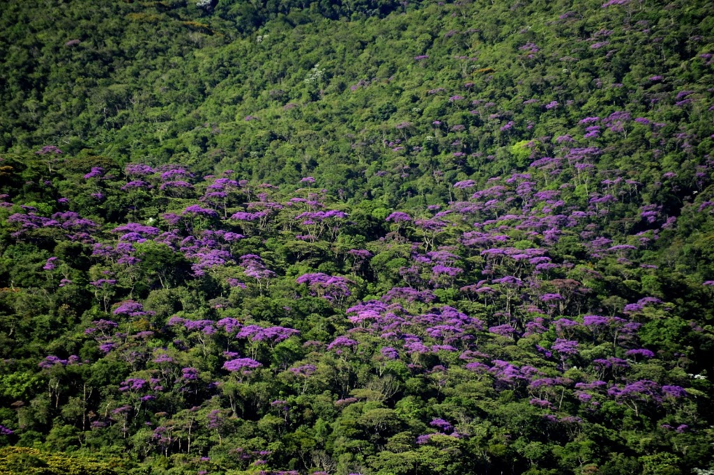 Fachada de Parque Estadual da Serra do Ouro Branco