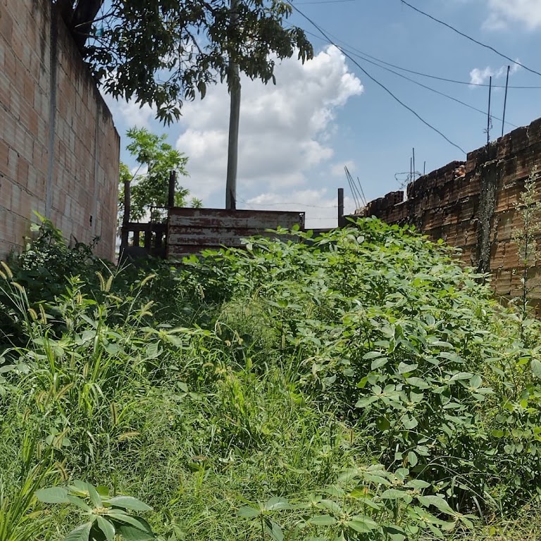 Fachada de Igreja em Ibirité