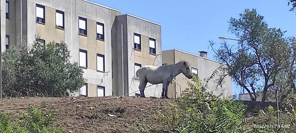 Fachada de Fetais